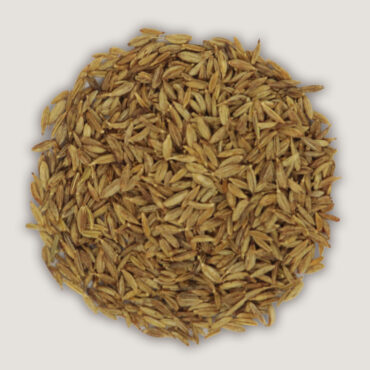 Graines de cumin - Épices